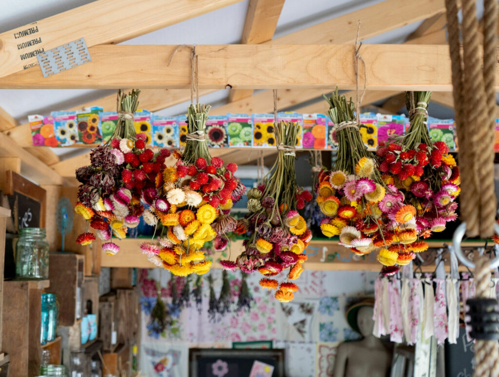 Flowers hang from a wooden beam.